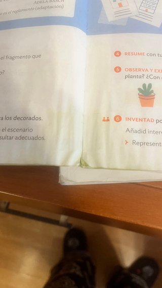 Lengua Castellana y Literatura, 4 Primaria, Moc...