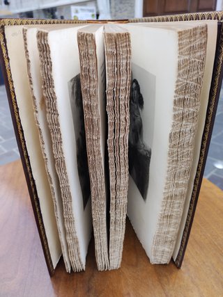 "Le Donne della Bibbia" 1855 Torriani con incision