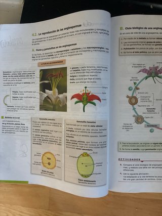 Biología, Geología y Ciencias Ambientales 1o Ba...