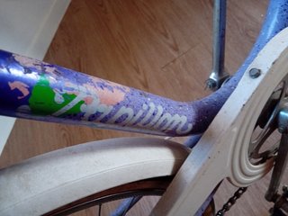 Bicicleta Orbea Papillon Azul. Solo en persona