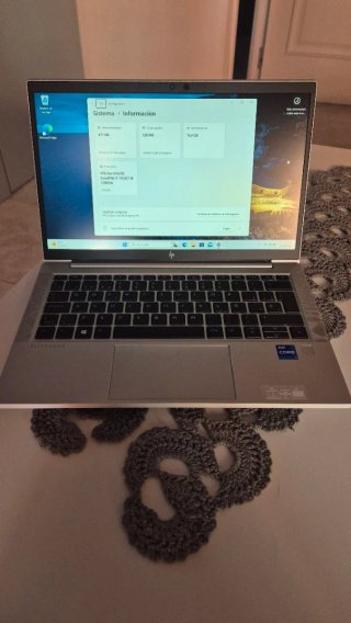 Portátil HP Elitebook 380 G8 Gris/Plata