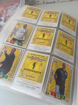Entrenadores +campeon card