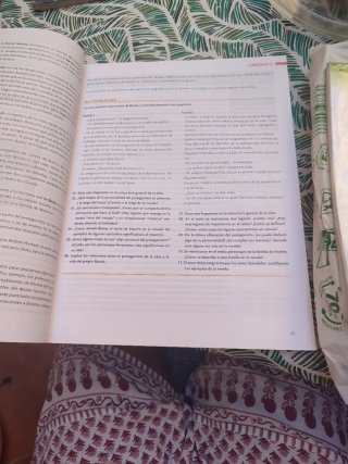 Libro de Lengua Castellana y literatura 2 de bachi