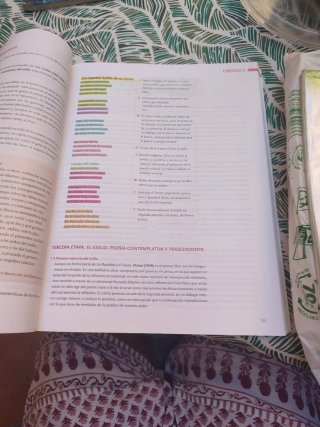 Libro de Lengua Castellana y literatura 2 de bachi