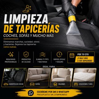 Limpieza de tapiceria