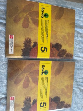 Matemáticas 5 Primaria. Andalucía