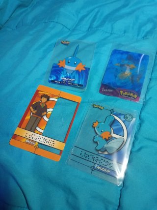 Lote Pokémon Mudkip y Brock