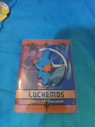 Lote Pokémon Mudkip y Brock