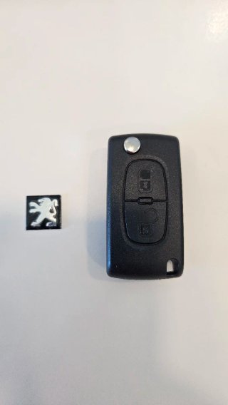 Carcaça Chave Peugeot 207 307 308 407 607