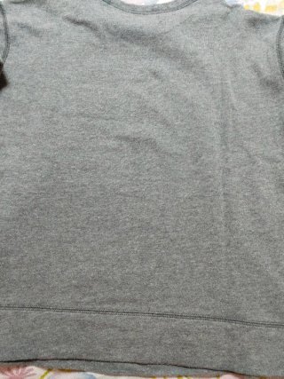 Sudadera Hollister niña gris