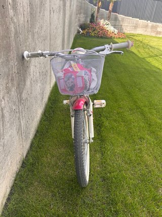 Bicicleta niña 20 rosa con cesta