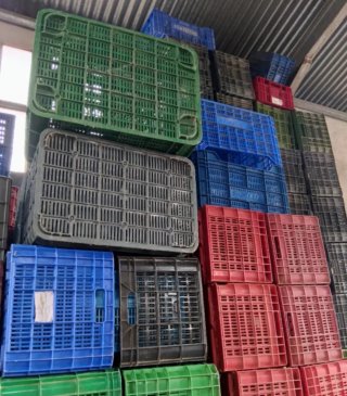 Cajas de plástico para campo