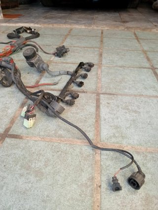 Cableado BMW E36 M52