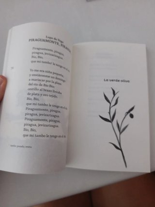 Poesía española para jóvenes