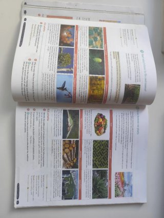 Biology & Geology 1º ESO. Student's book. GENiOX