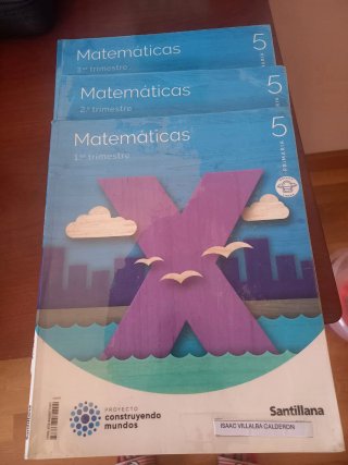 MATEMATICAS M LIGERA 5 PRIMARIA CONSTRUYENDO MU...