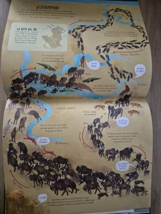 Nuestro Planeta Gran libro ilustrado