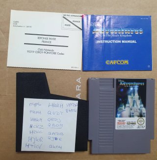 Disney Adventures in the Magic Kingdom NES