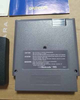 Disney Adventures in the Magic Kingdom NES