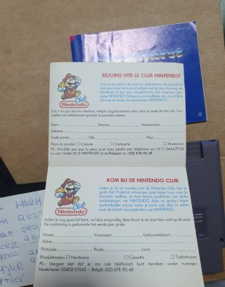 Disney Adventures in the Magic Kingdom NES