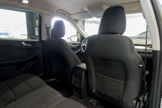 Ford Kuga   Titanium 2.0 EcoBlue MHEV 110kW 150CV