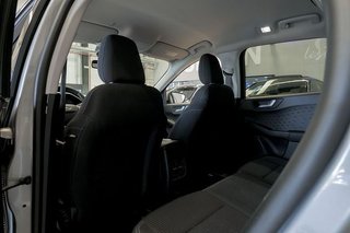 Ford Kuga   Titanium 2.0 EcoBlue MHEV 110kW 150CV