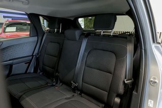 Ford Kuga   Titanium 2.0 EcoBlue MHEV 110kW 150CV