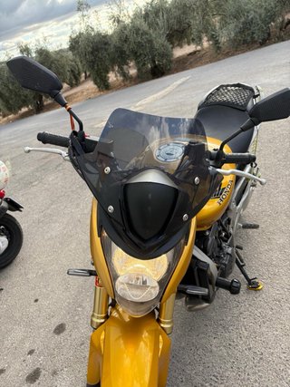 Honda CBF 600 Hornet 2008 Dorada