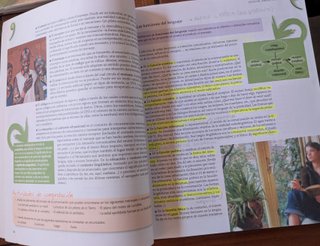 Lengua castellana y literatura 1 bachillerato 1