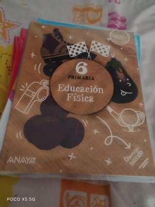Libros 6 primaria Santillana