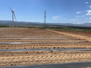 Finca de regadío en Hijate