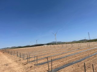 Finca de regadío en Hijate