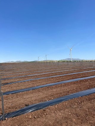 Finca de regadío en Hijate