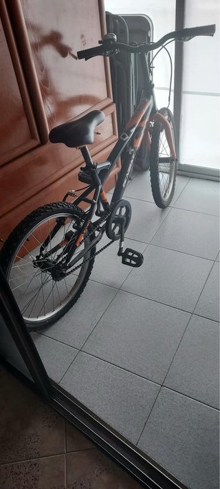 Bicicleta Infantil DENBIKE 20 Pulgadas