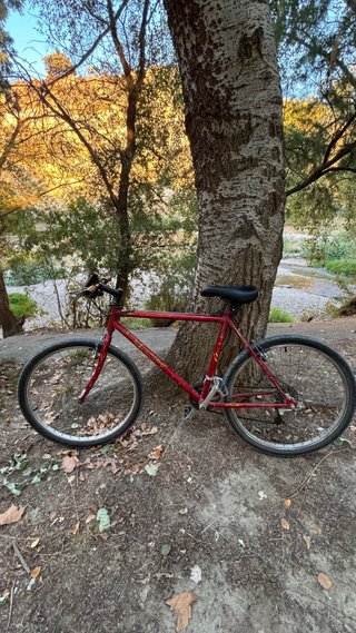 Bicicleta MTB Clásica Rueda 26
