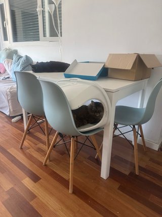 Acepto ofertas - Conjunto mesa comedor y 4 sillas