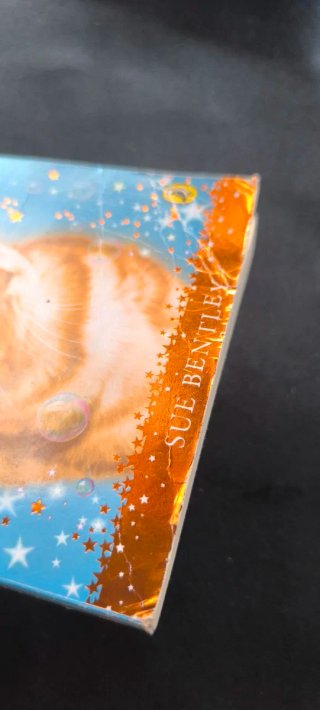 Libro Magic Kitten: A Summer Spell (Sue Bentley)