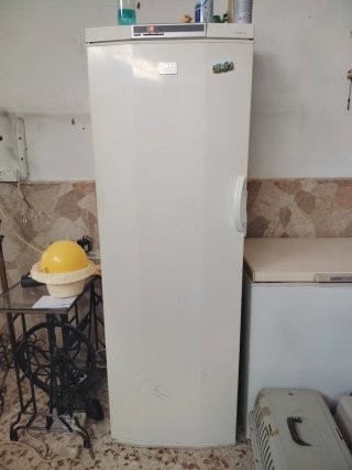 Frigorífico blanco Sanyo