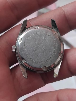Reloj Arcadia Sport Incabloc