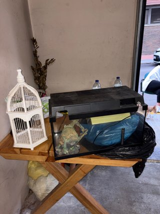 Acuario con decoración y accesorios