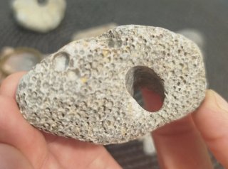 Conjunto di pietre naturali uniche