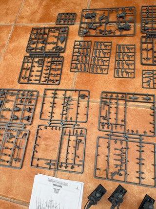 Warhammer High Elves Battalion Caja