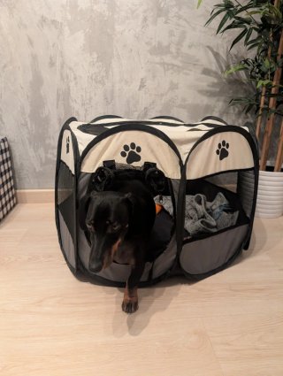 Parco/Tenda pieghevole per animali domestici