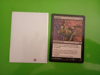 Lote de 6 cartas Magic