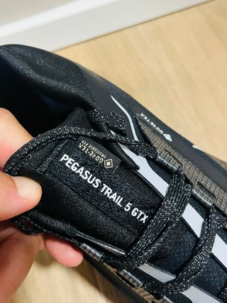 Nike Pegasus Trail 5 Gore-Tex