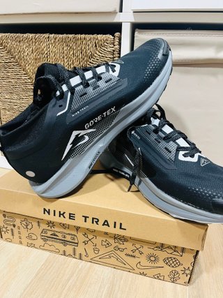 Nike Pegasus Trail 5 Gore-Tex