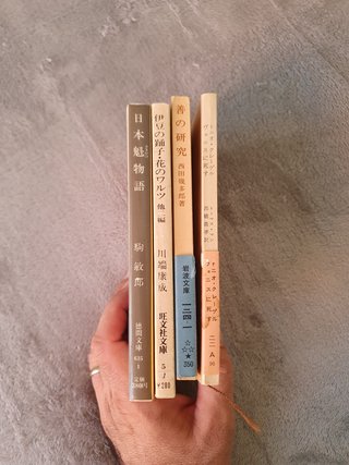Lote libros de bolsillo en japonés