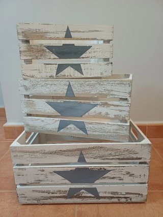 Juego 3 Cajas Madera Decorativas con Plantas