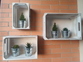 Juego 3 Cajas Madera Decorativas con Plantas