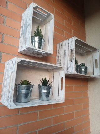 Juego 3 Cajas Madera Decorativas con Plantas